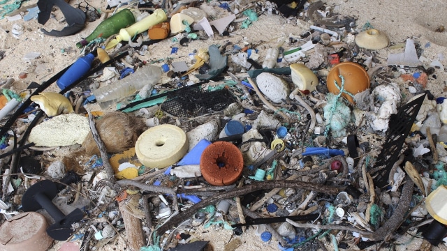 Sampah di pesisir Pulau Henderson  (Foto: AP/Jennifer Lavers)