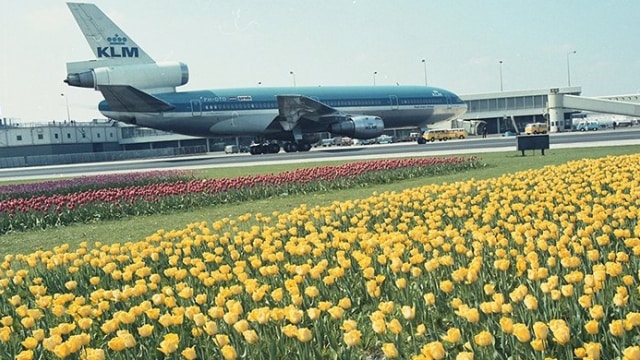 Maskapai KLM (Foto: Twitter/@KLM)