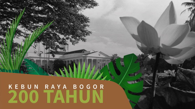 Infografis 200 Tahun Kebun Raya Bogor (Foto: Bagus Permadi/kumparan)