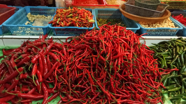 Penjual cabai di pasar tradisional (Foto: Nicha Muslimawati/kumparan)