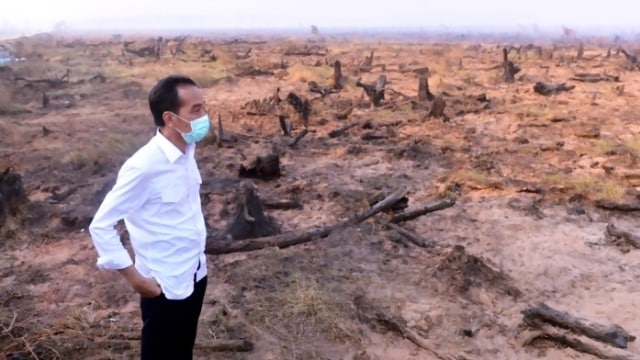 Jokowi tinjau lokasi kebakaran hutan. (Foto: Antara)