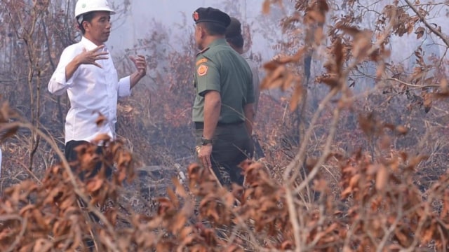 Presiden Jokowi tinjau lokasi kebakaran hutan. (Foto: Dok. Biro Pers Istana)