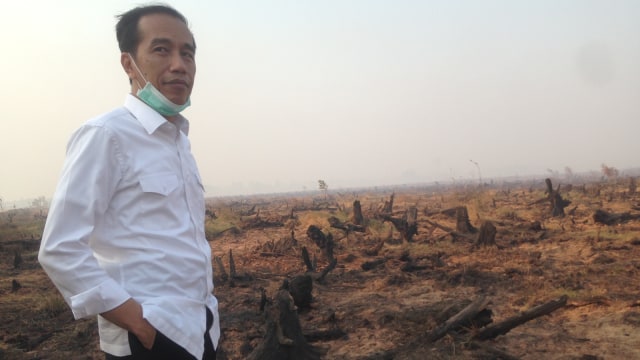 Jokowi meninjau lokasi kebakaran hutan. (Foto: Dok. Istimewa)