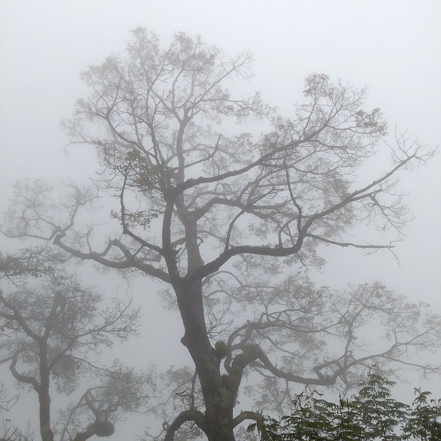 Kabut di Sindoro (Foto: Naufal Abdurrasyid/kumparan)