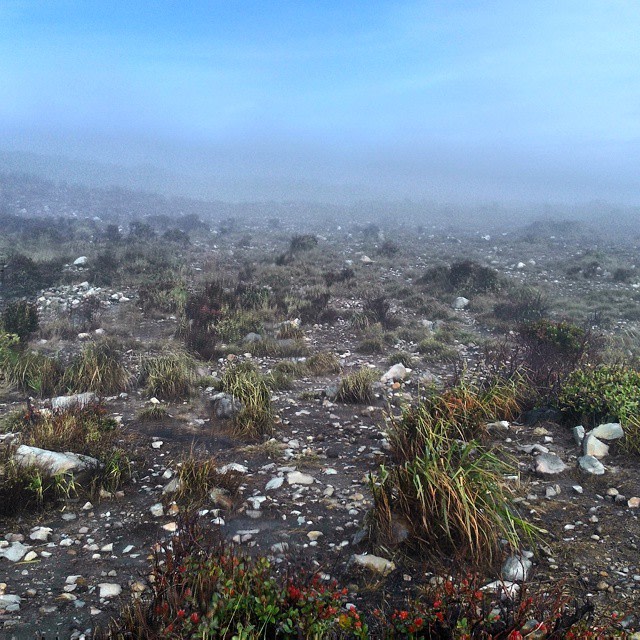 Suasana di puncak Sindoro. (Foto: Naufal Abdurrasyid/kumparan)