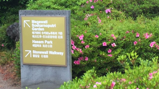 Taman Megawati di Pulau Jeju, Korea Selatan (Foto: Dok. KBRI Seoul)