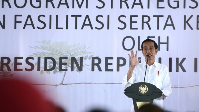 Jokowi membagikan sertifikat tanah Foto: Dok. Biro Sespres