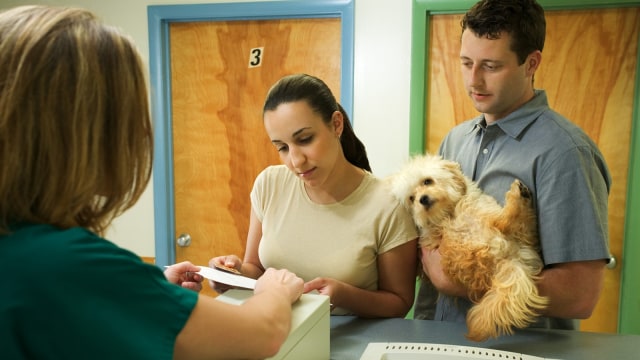 Kontrak Pets Hotel. (Foto: Thinkstock)