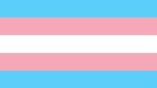Transgender (Foto: Pixabay)