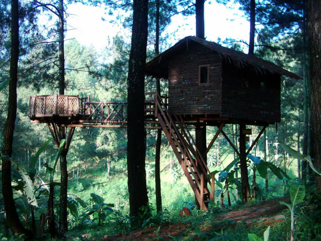 3 Penginapan ala Rumah Pohon di Tengah Hutan (2)