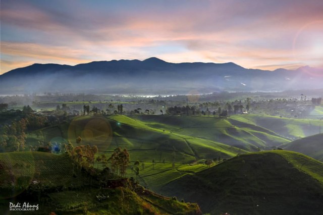 Menikmati Sunrise Di Perkebunan Teh Cukul Pangalengan Kumparan Com