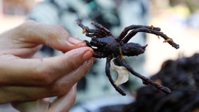 Laba-laba Goreng sampai Testis Banteng, 7 Makanan Aneh yang Ada di Dunia (81739)