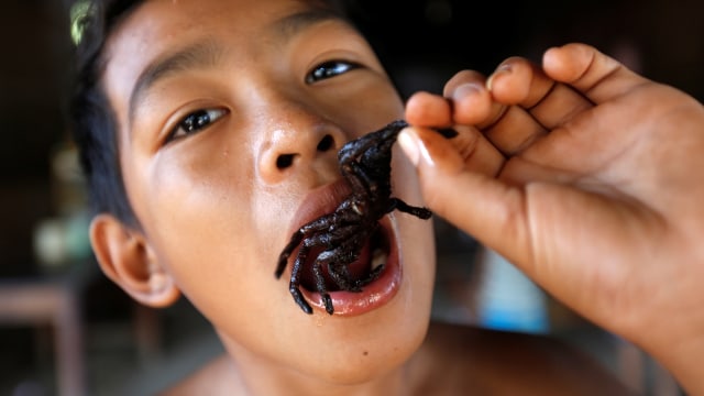 Makan Tarantula Goreng Foto: REUTERS/Samrang Pring