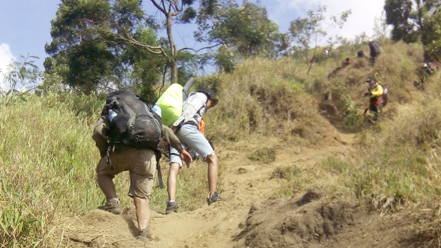 Trek pendakian Gunung Sumbing. (Foto: Naufal Abdurrasyid/kumparan)