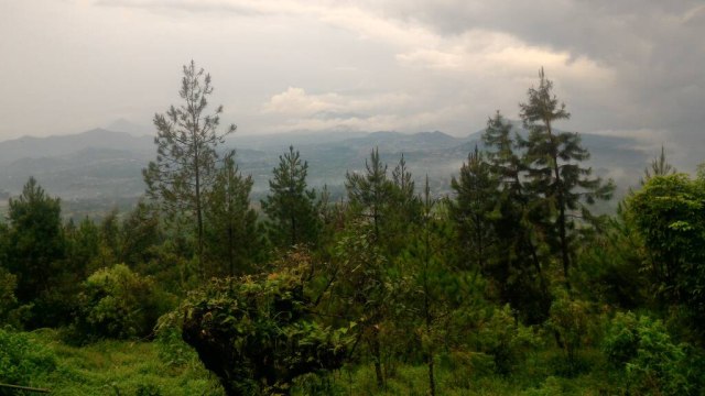 Pemandangan dari Gunung Slamet. (Foto: Naufal Abdurrasyid/kumparan)