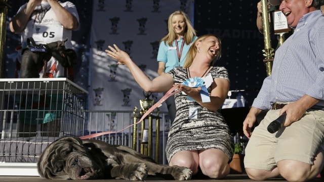 Martha, pemenang kontes anjing buruk rupa (Foto: AP)