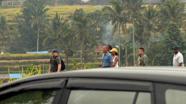 Obama di tengah sawah Jatiluwih. (Foto: Wira Suryantala/Antara)