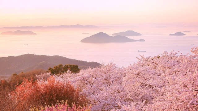 Jepang, destinasi wisata favorit (Foto: VisitJapan/Instagram)