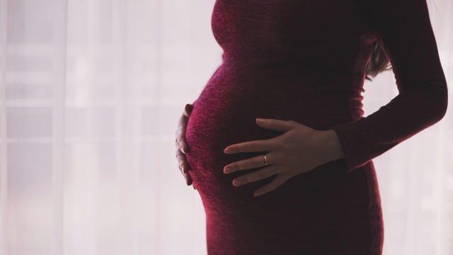 Ilustrasi perempuan hamil. Foto: Pixabay