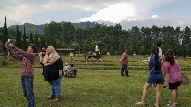 Mengenal De Ranch Wisata Kuda Ala Koboi Di Lembang