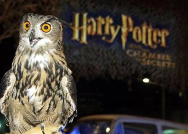 Burung hantu Harry Potter (Foto: Reuters/Fred Prouser)