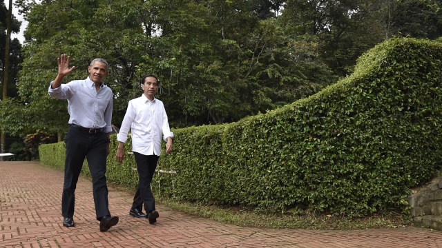 Jokowi dan Obama berkeliling Istana Bogor (Foto: Antara/Puspa Perwitasari)