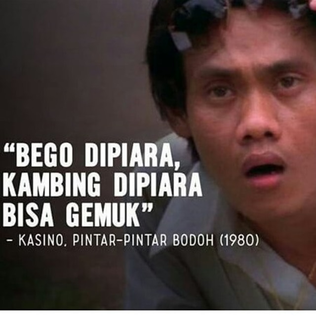 Nasihat Kasino (Foto: imgrum)