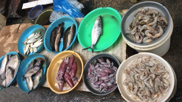 Masih Banyak Nelayan Libur Melaut Pasca Lebaran Harga Ikan Naik