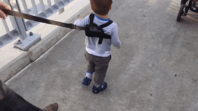 Penggunaan tali kekang pada anak (Foto: Youtube/BritBubs InOz)
