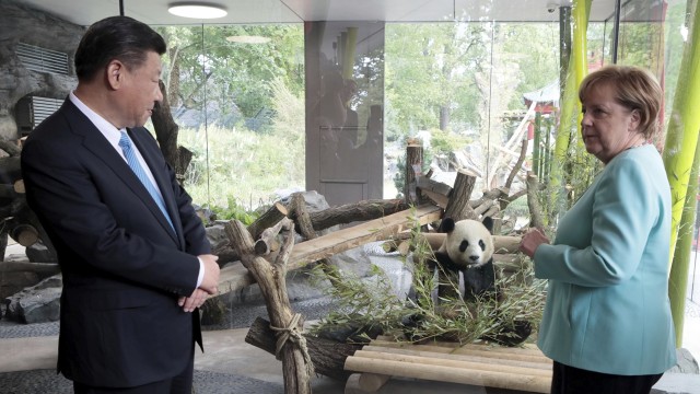 Pemberian panda dari Cina untuk Jerman (Foto: Axel Schmidt/pool photo via AP)