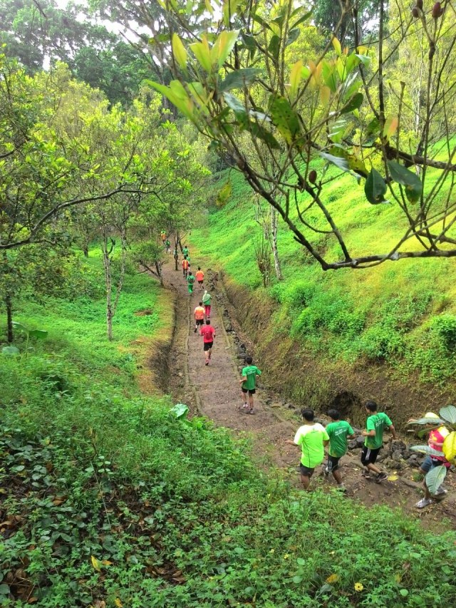 Banyuwangi Ijen Green Run (Foto: Dok. Pemkab Banyuwangi)