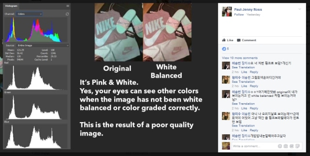 Netizen berdebat soal warna dalam foto ini. (Foto: Facebook)