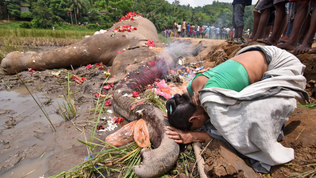 Berdoa diatas Gajah mati  (Foto: Reuters/Anuwar Hazarika)