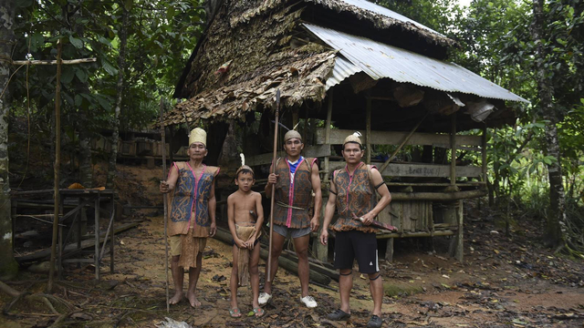 Suku Dayak Foto: Antara Foto/Zabur Karuru