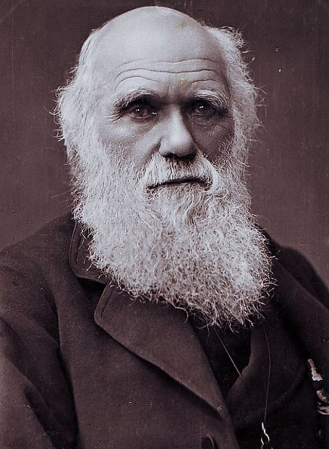 Charles Darwin  (Foto: Wikimedia Commons)