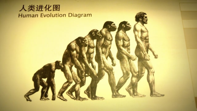 Teori Evolusi Charles Darwin (Foto: www.publicdomainpictures.net)