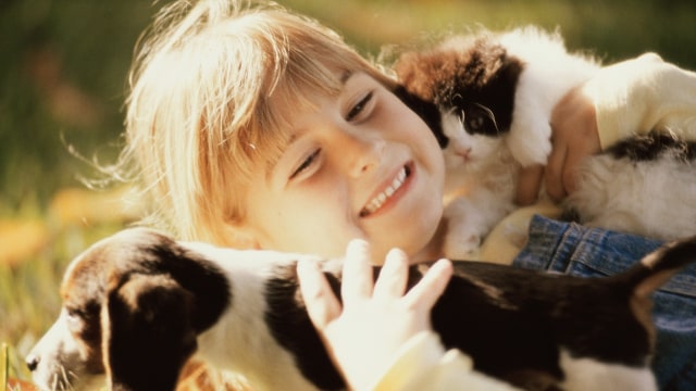 Binatang Penular Penyakit (Foto: Thinkstock)
