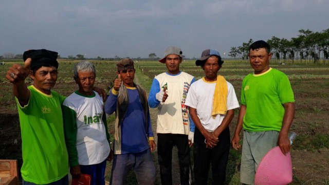 Dakrim, Ketua Kelompok Tani, dan 5 petani lainnya. (Foto: Nuridin Alim)