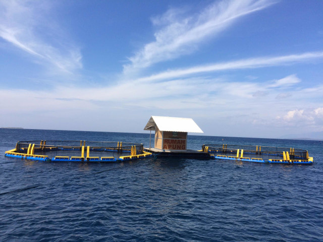 Langit Laut biru di Bangsring (2)