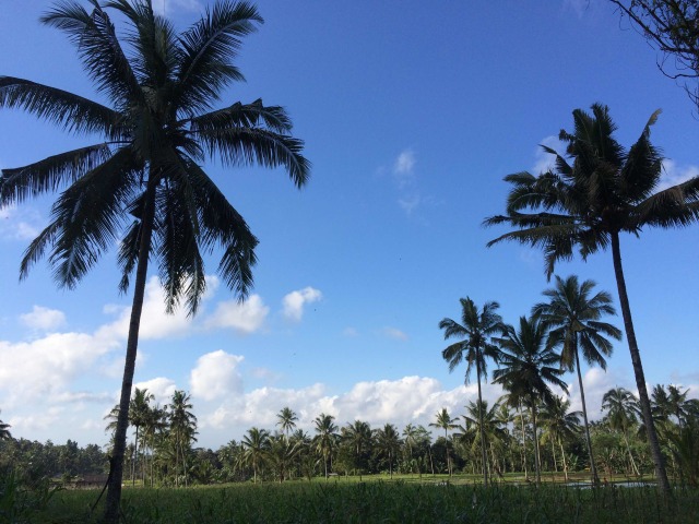 Lari bareng di Banyuwangi. (1)