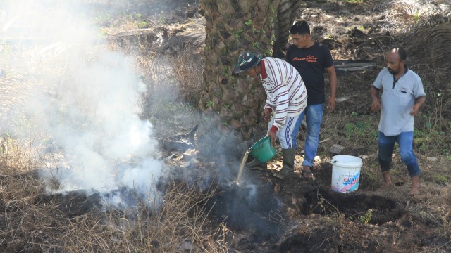 Kebakaran lahan gambut di Aceh Barat. (Foto: Antara/Syifa Yulinnas)