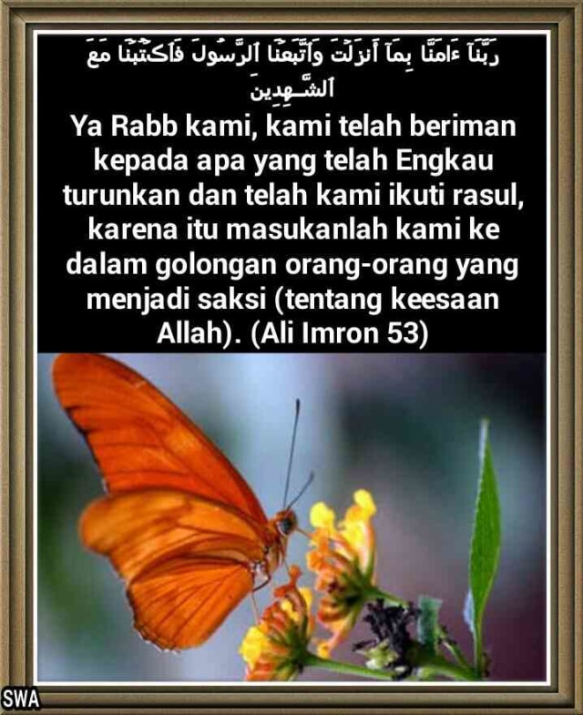 ISLAM (4)