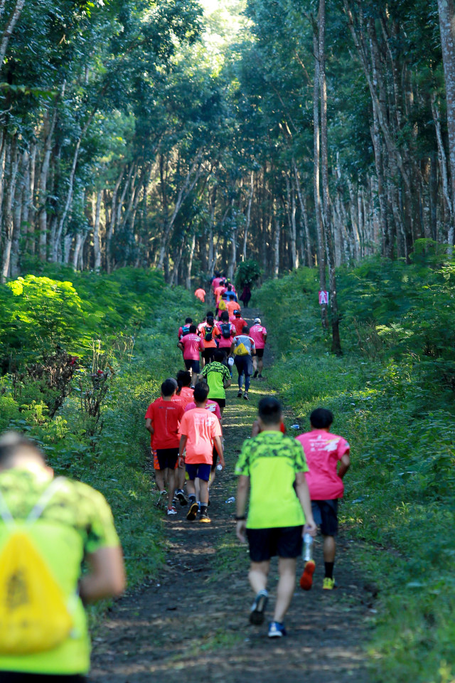 Ratusan Pelari dari Penjuru Dunia Taklukkan Keindahan dan Tantangan Ijen Green Trail di Banyuwangi Ratusan Pelari dari Penjuru Dunia Taklukkan Keindahan dan Tantangan Ijen Green Trail di Banyuwangi