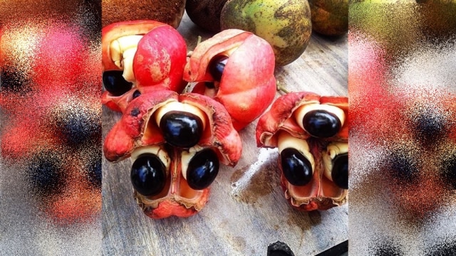 Buah Ackee yang beracun. (Foto: Instagram/houseofleafnbean)