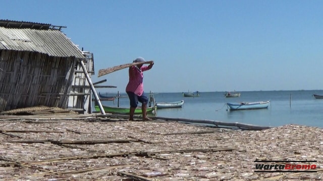 Ikan Asin Terimbas Mahalnya Garam