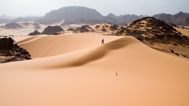 Gurun Sahara. (Foto: Wikimedia)