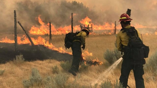 Kebakaran di Montana, Amerika Serikat. (Foto: Jonathan Moor/Reuters)