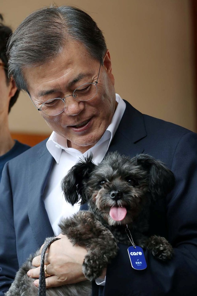 Presiden Moon Jae-in dan Tory. (Foto: Reuters)