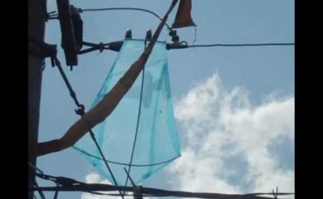 Listrik Padam Beberapa Kali, PLN Blitar Keluhkan Benang Layangan yang Nyangkut di Kabel