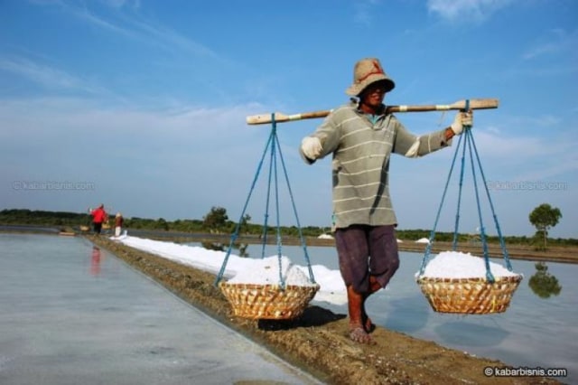 Suara Memelas Petani Garam: Tolong, Pak Jokowi Jangan Lakukan Impor